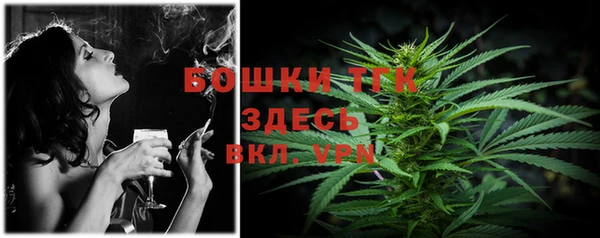гашик Белокуриха