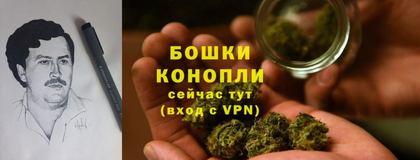 гашик Белокуриха