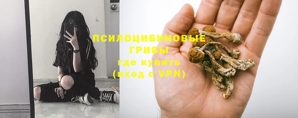 эйфоретик Беломорск