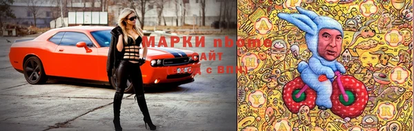 гашик Белокуриха