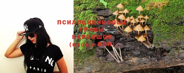 гашик Белоозёрский