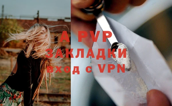 гашик Белокуриха