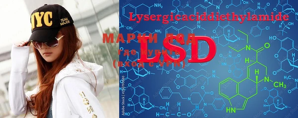 гашик Белокуриха