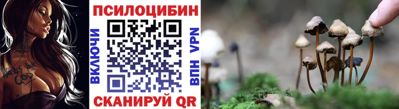 Галлюциногенные грибы мицелий  KRAKEN онион  Верея 